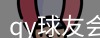 qy球友会